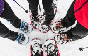 A group of four people snow shoeing
