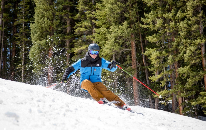 An alpine ski instructor