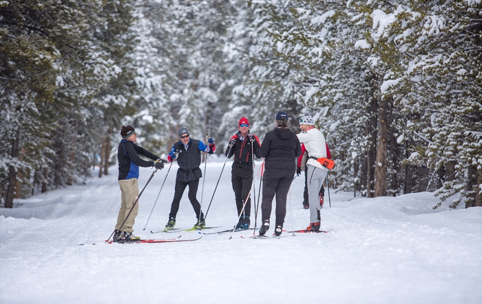 A group of cross country skiers talk on the trail