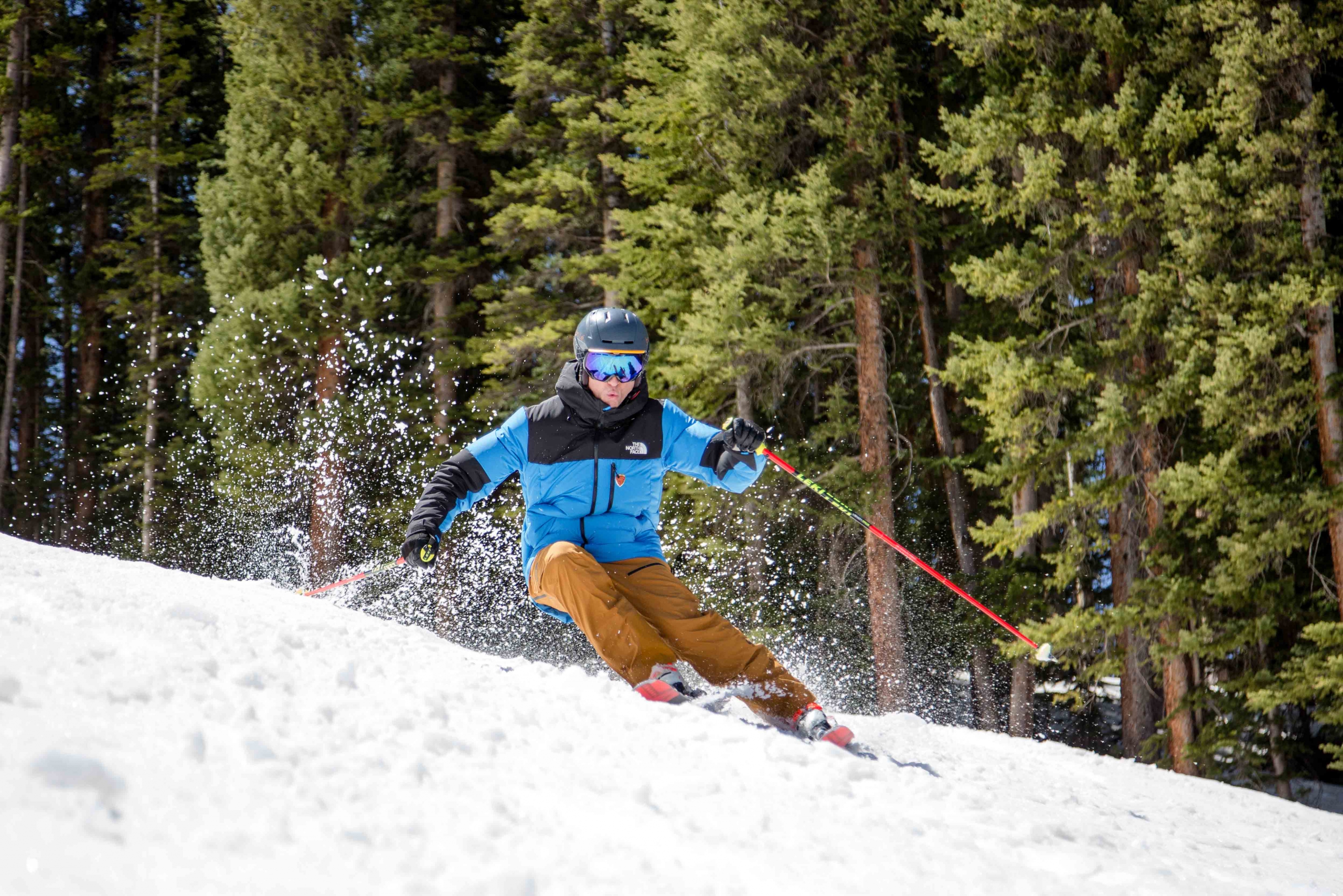 An alpine ski instructor