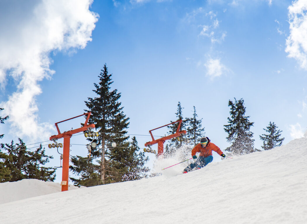 PSIA-AASI Alpine Team Member Ann Schorling skis at Interski