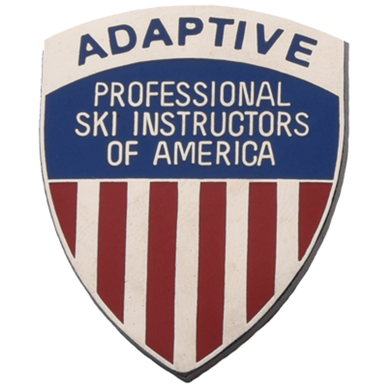 psia-aasi adaptive ski level 2 pin