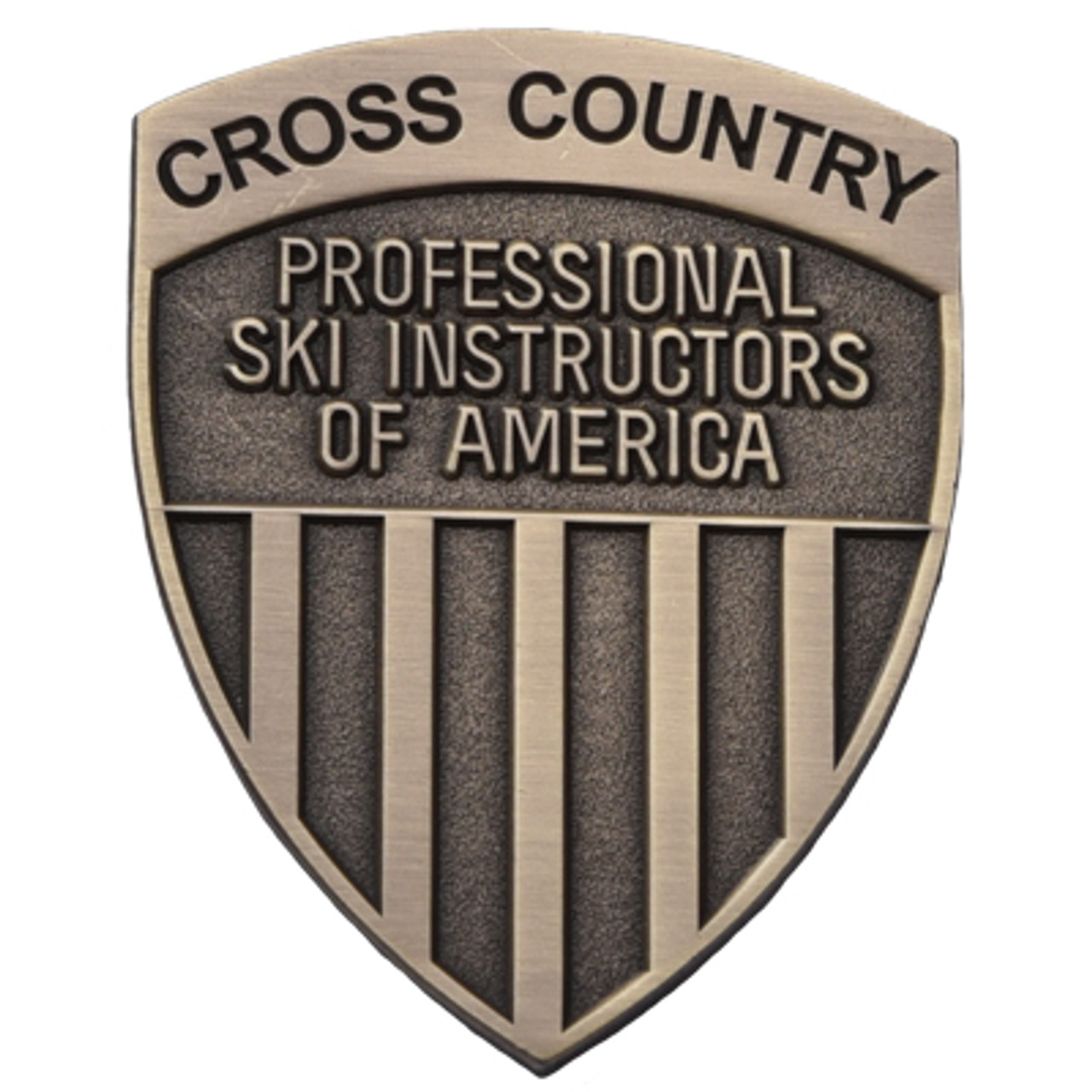 AASI cross country Level 1 pin