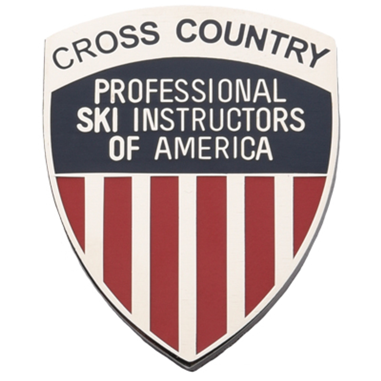 PSIA cross country level 2 pin