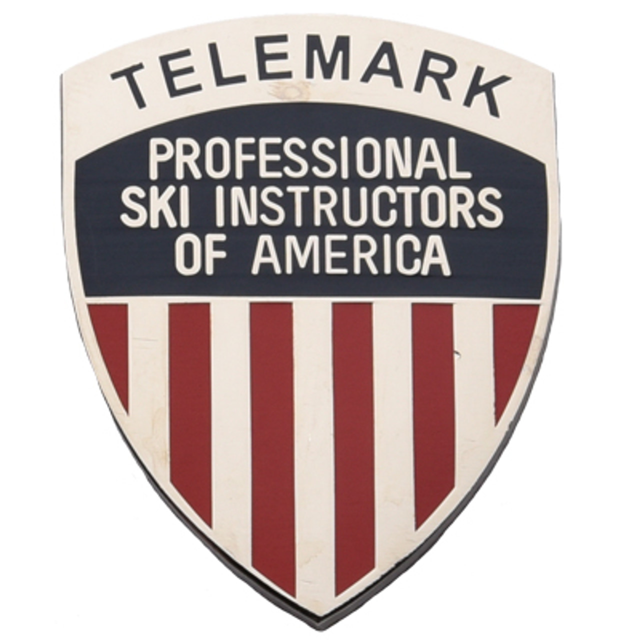 psia-aasi telemark pin level 2