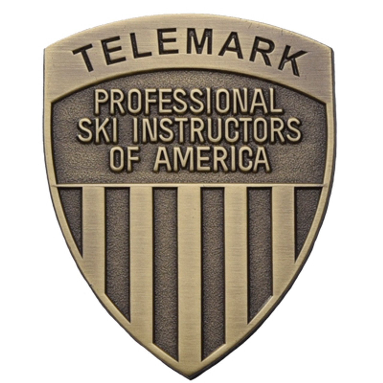 psia telemark pin level 1