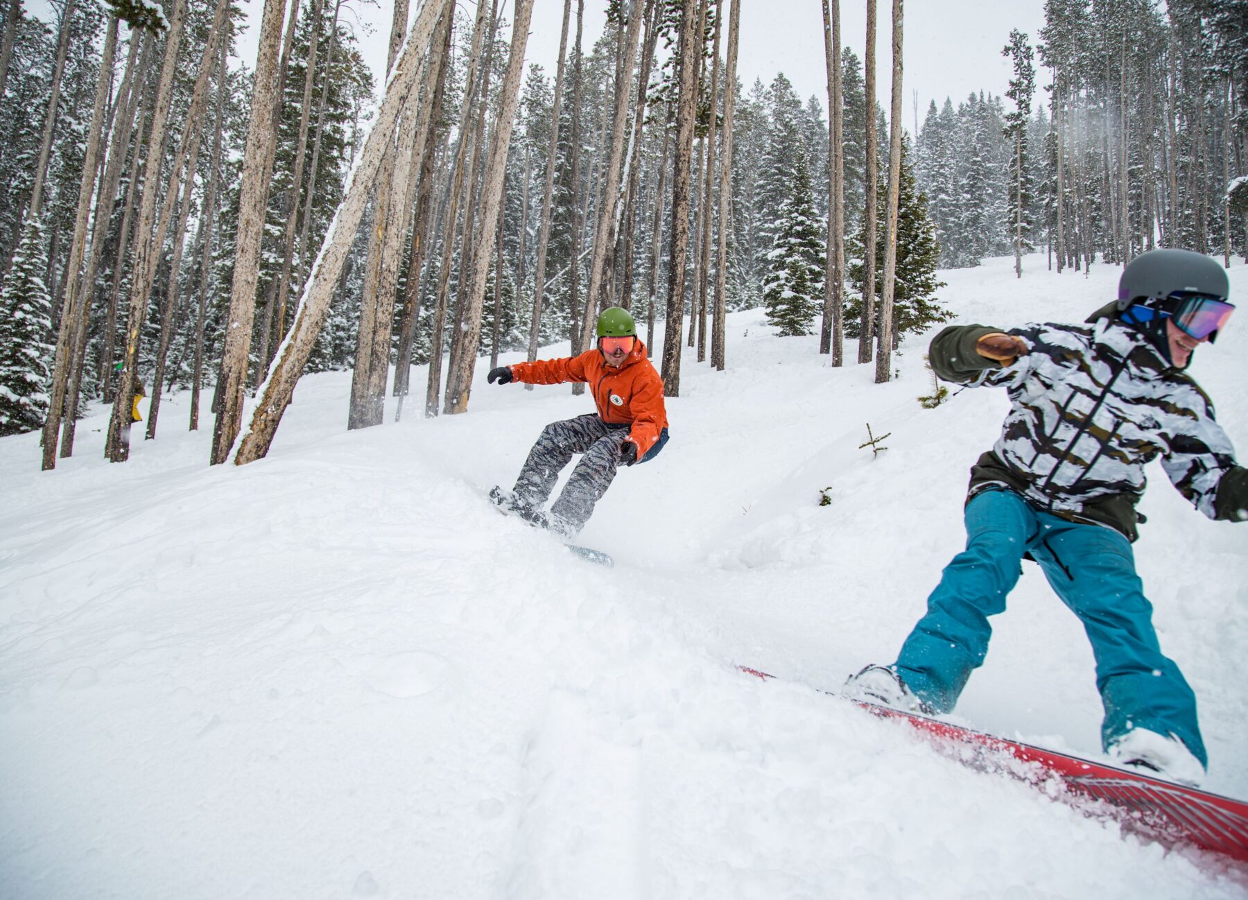 two snowboarders riding on powder through trees