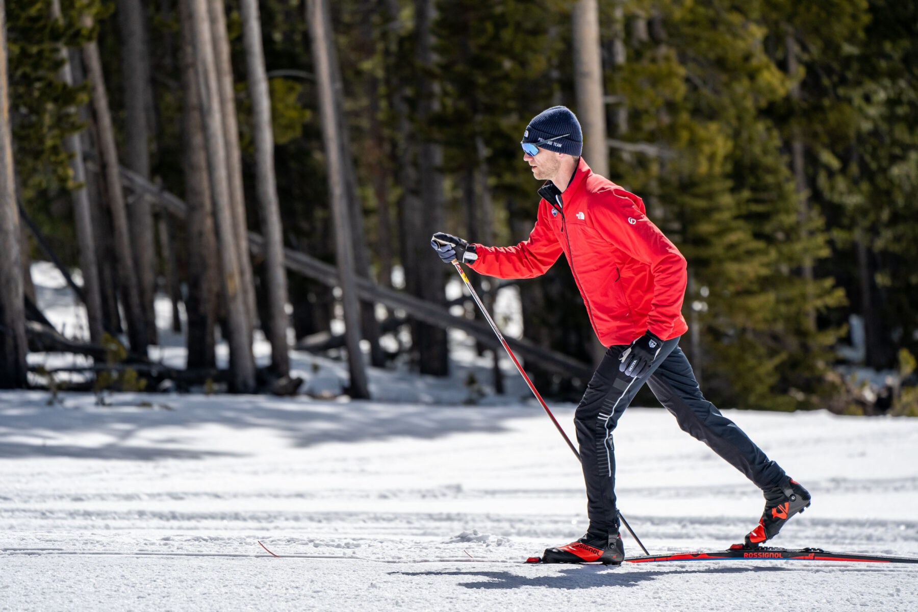 Male cross country skier 