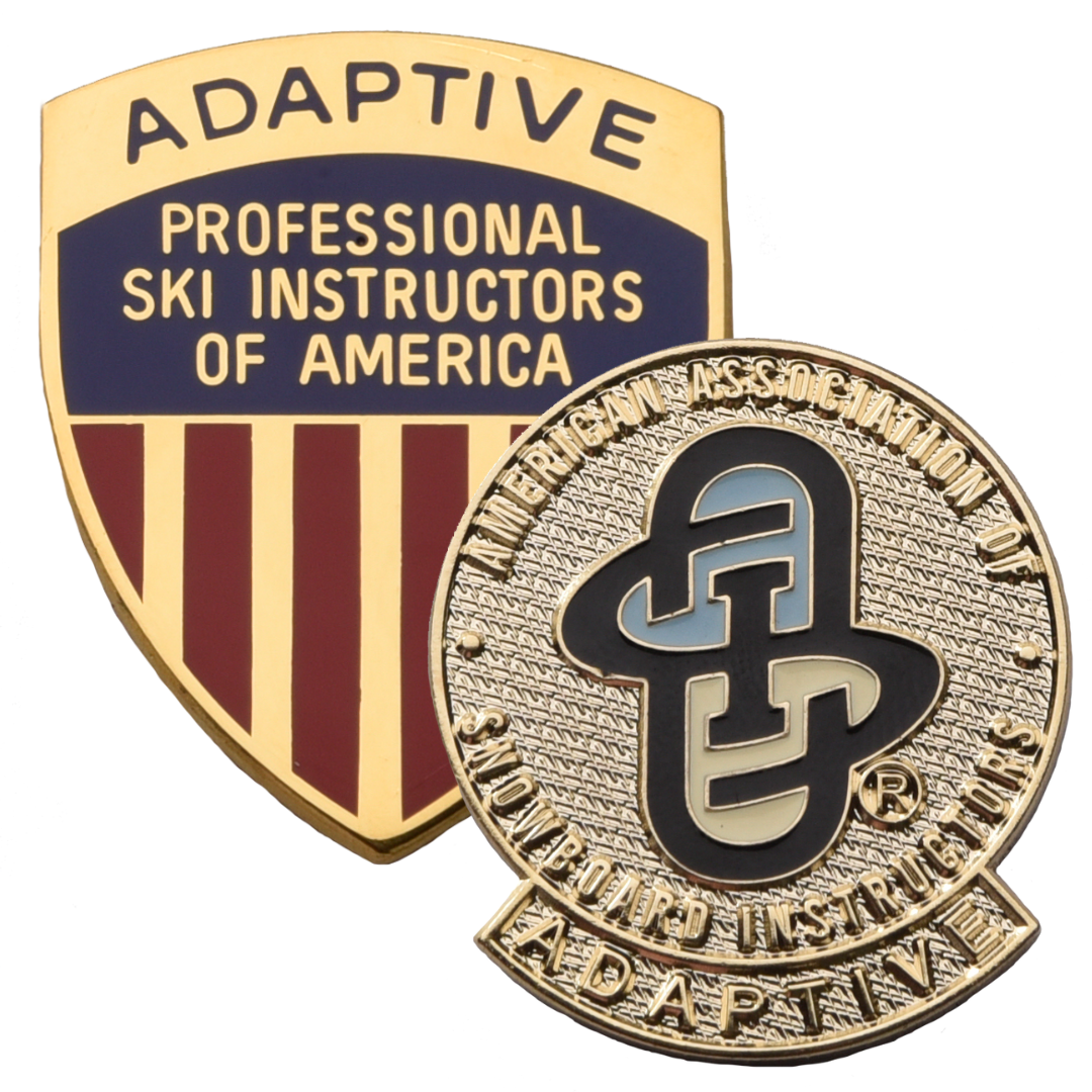 psia-aasi adaptive level 3 pins